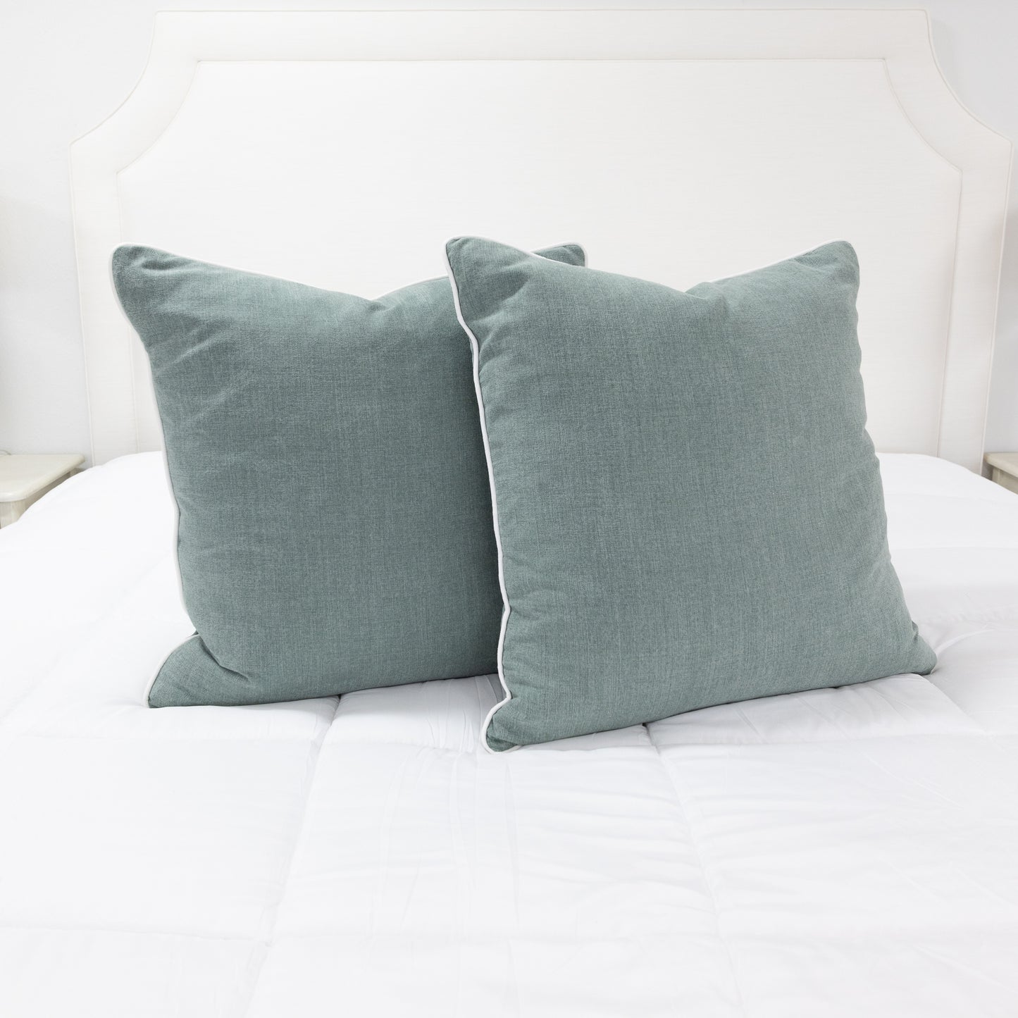 24”x24” Throw Pillow ( Set of 2) - Sage Green Custom Upholstered Accent Pillows