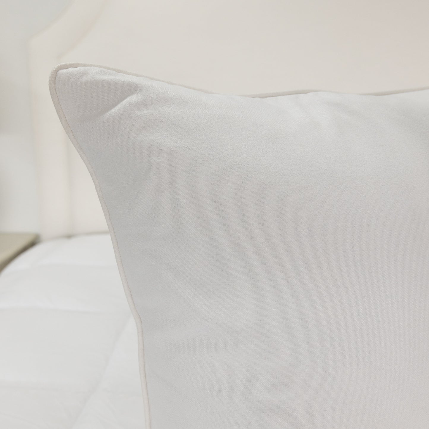 24”x24” Throw Pillow ( Set of 2) - Custom Upholstered Accent Pillows