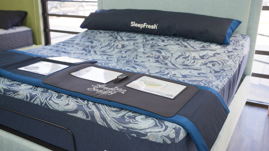 12" Cyprus Foam Plush Bed 'N' Box